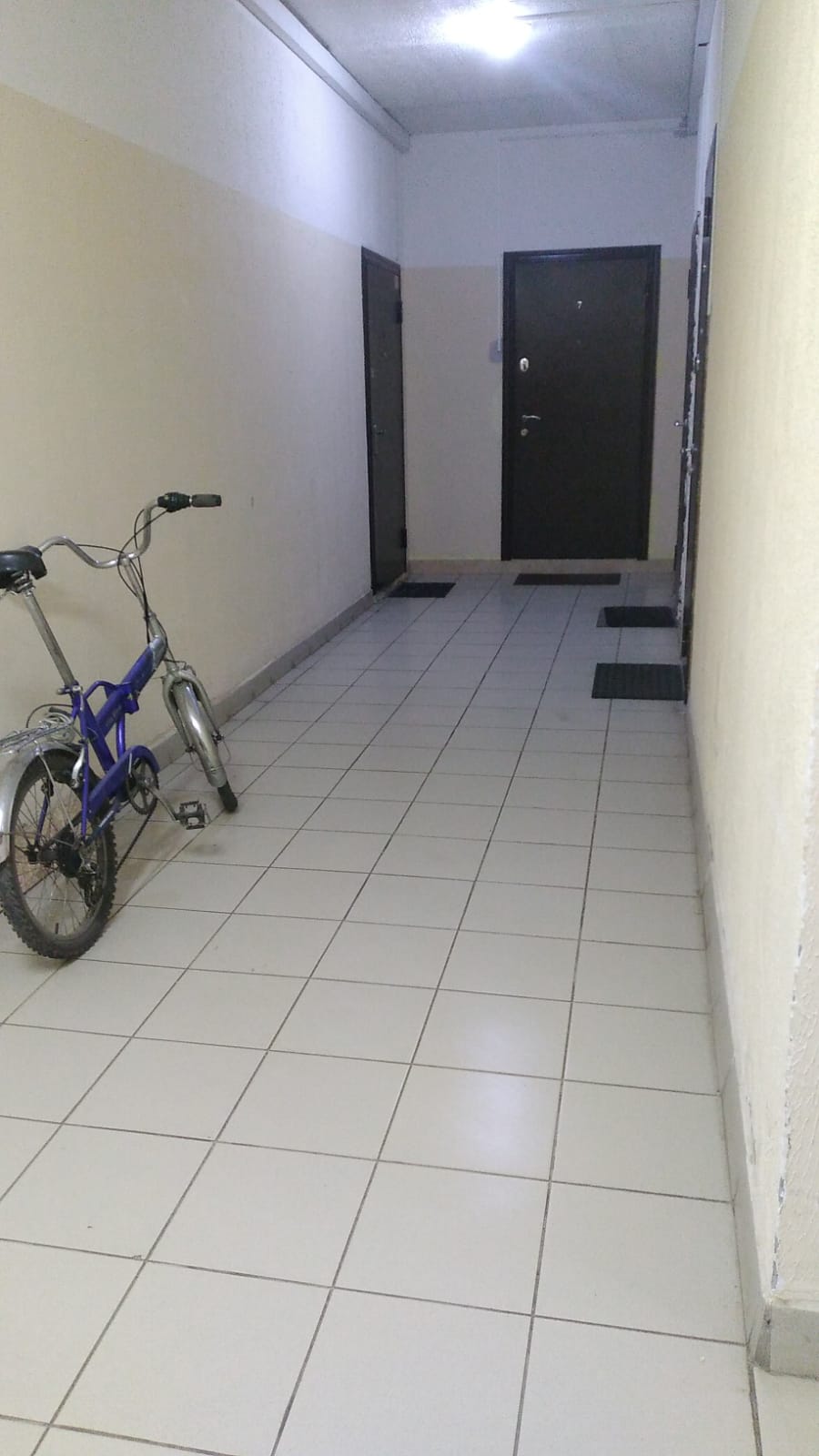 w1 (5).jpeg